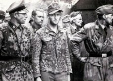 ナチス軍服のドット服を着た武装SS兵士