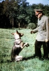 ヒトラーと愛犬